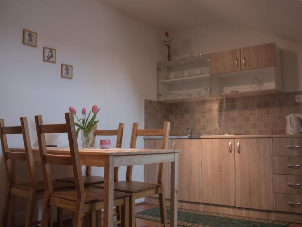Kuchyň nebo kuchyňský kout v ubytování Breza Guesthouse