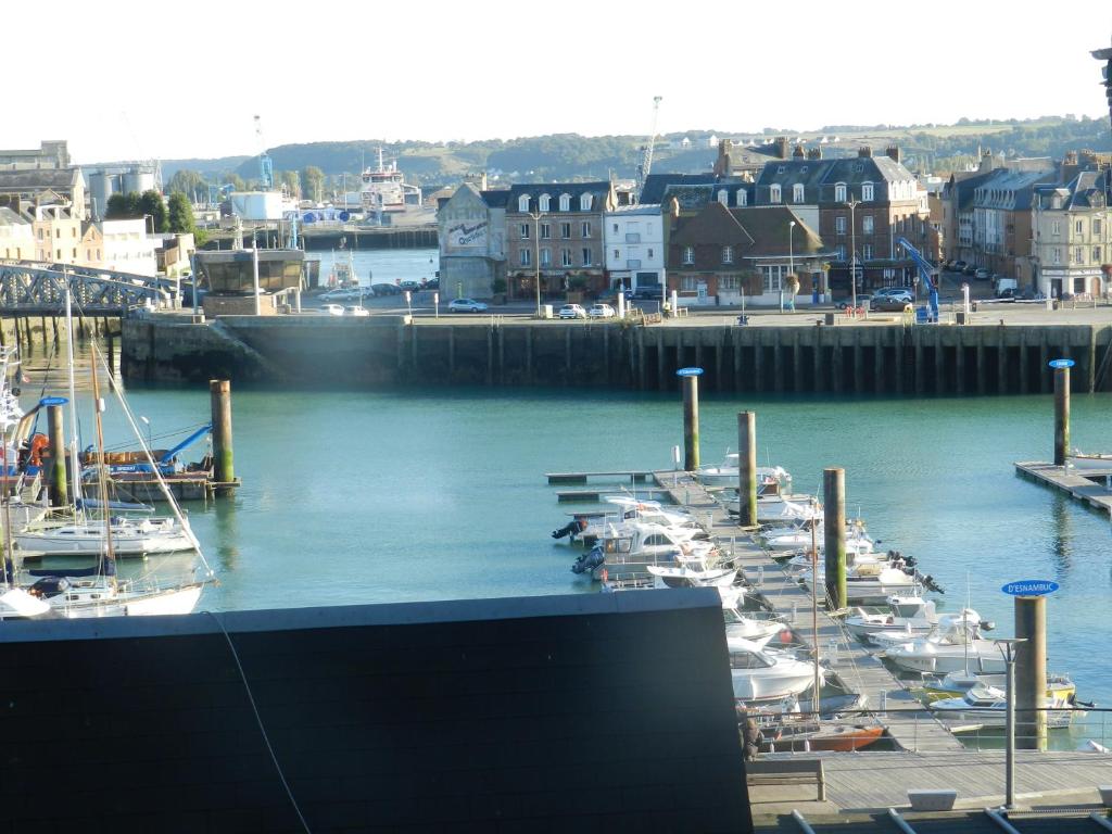 ディエップにあるAppartement vue sur le port de Dieppeの港に停泊する船団