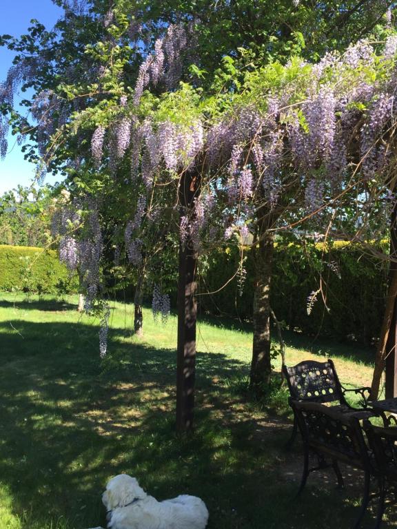 Zahrada ubytování Alojamiento en entorno rural Los Trobos