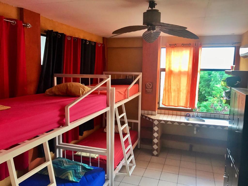 Postel nebo postele na pokoji v ubytování Sandy Toes Hostel