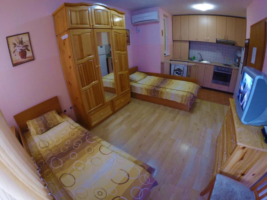 ヴェリコ・タルノヴォにあるOur Home Guest Roomsのキッチンとリビングルームが備わる客室です。