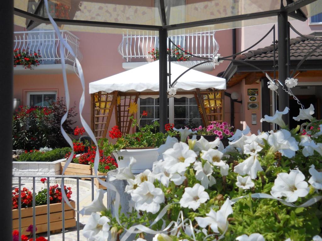 Zahrada ubytování Hotel Bellaria