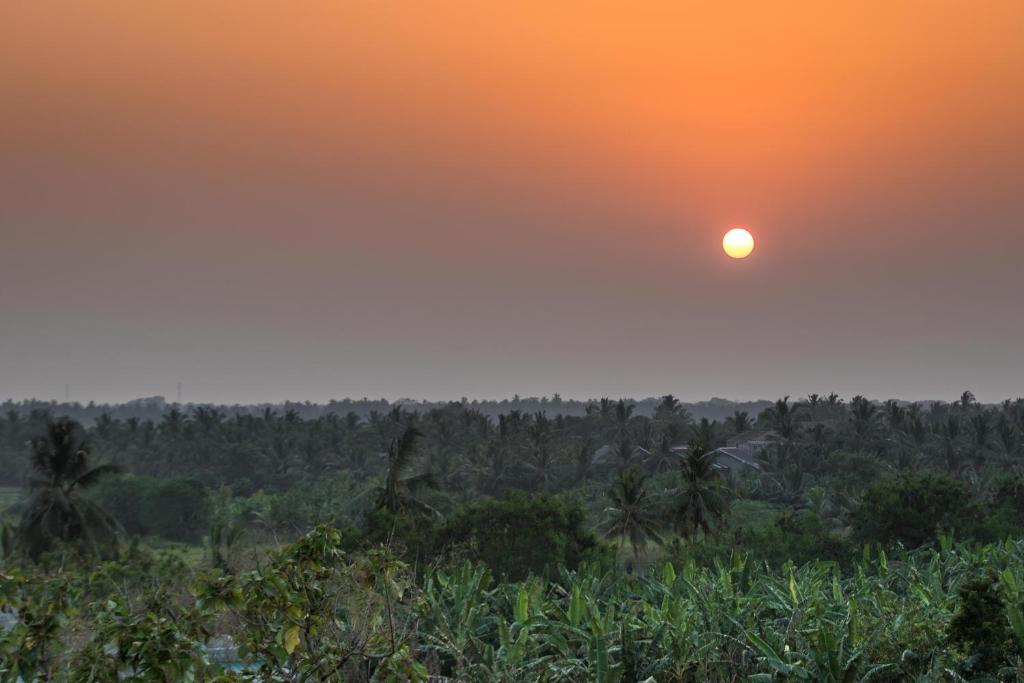 The Coconut Gardens Hotel & Restaurant - 4