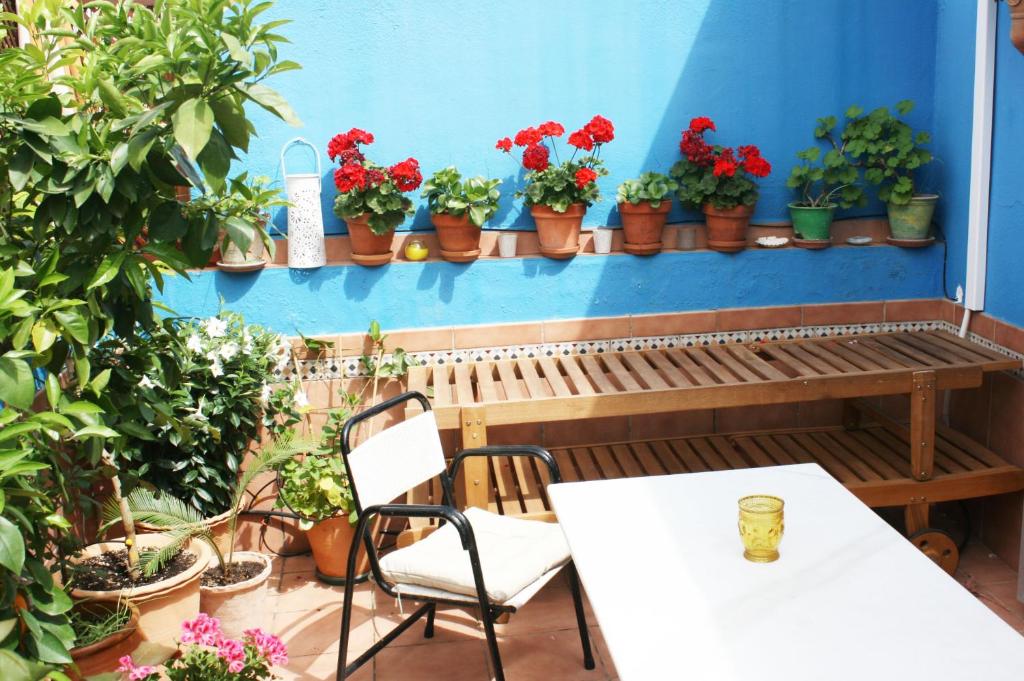 un patio con mesa, sillas y macetas en La Terraza Azul, en Sevilla