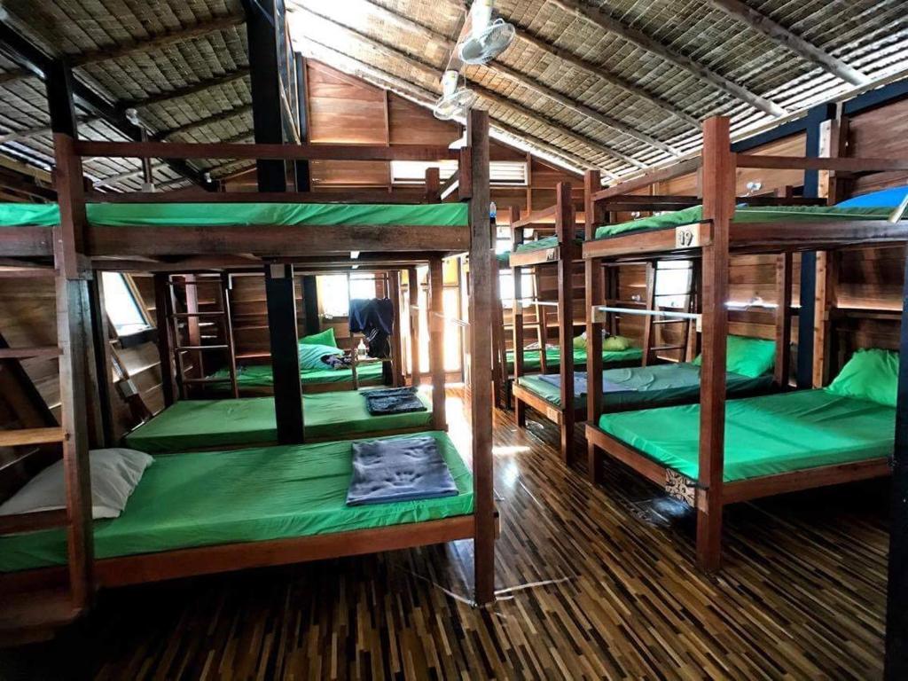 Katil dua tingkat atau katil-katil dua tingkat dalam bilik di Cafe del sunshine