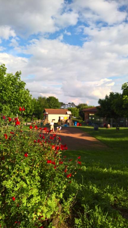 Zahrada ubytování Camping La Grappe Fleurie
