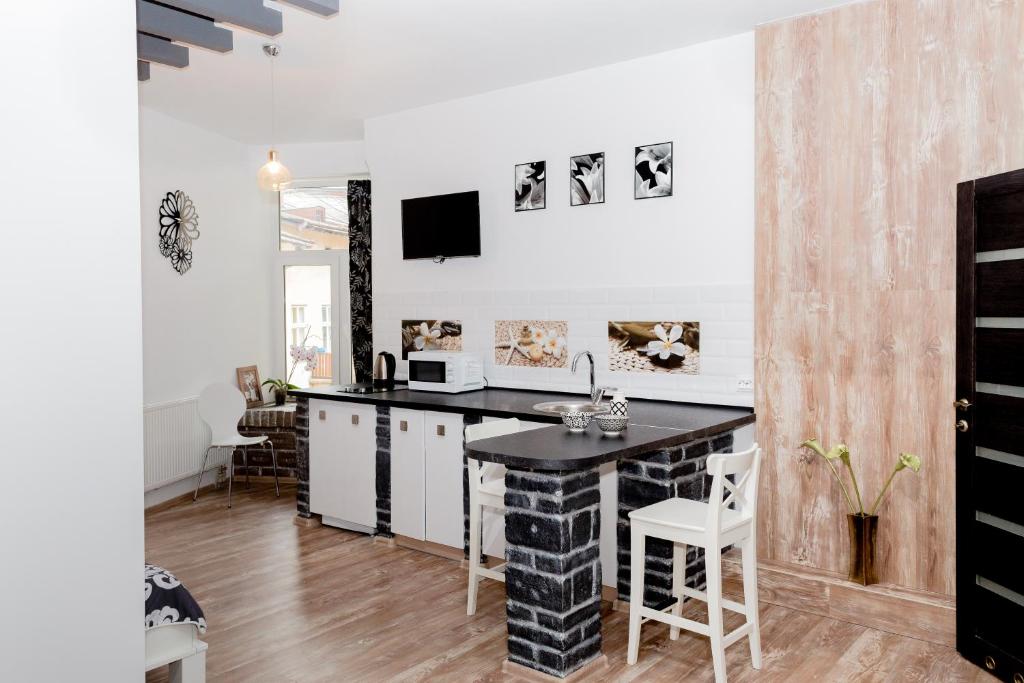 Apartments Zefir on Vynnychenka - Studio Apartment