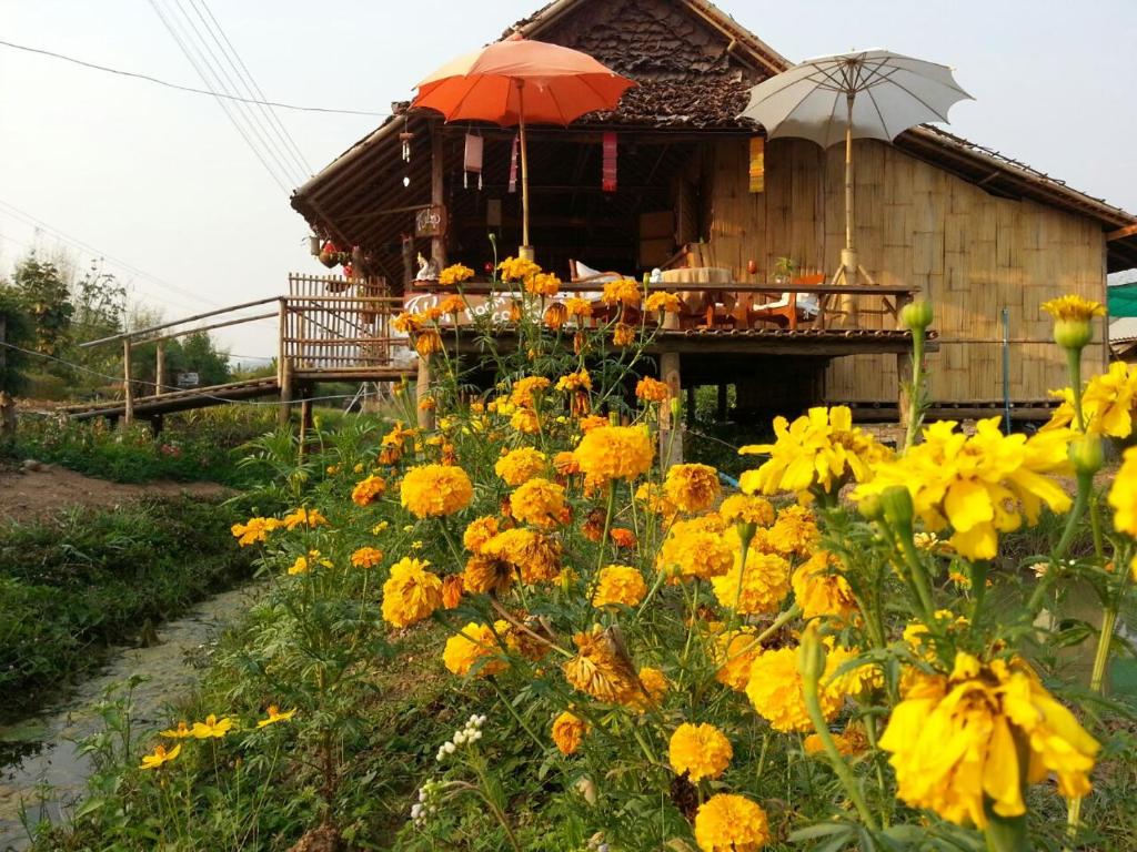 Zahrada ubytování Tulip Resort Pai