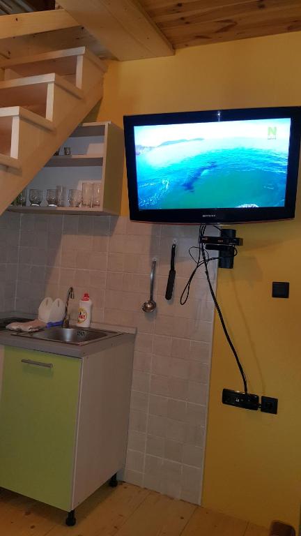TV a/nebo společenská místnost v ubytování Žabljak City Center Apartments