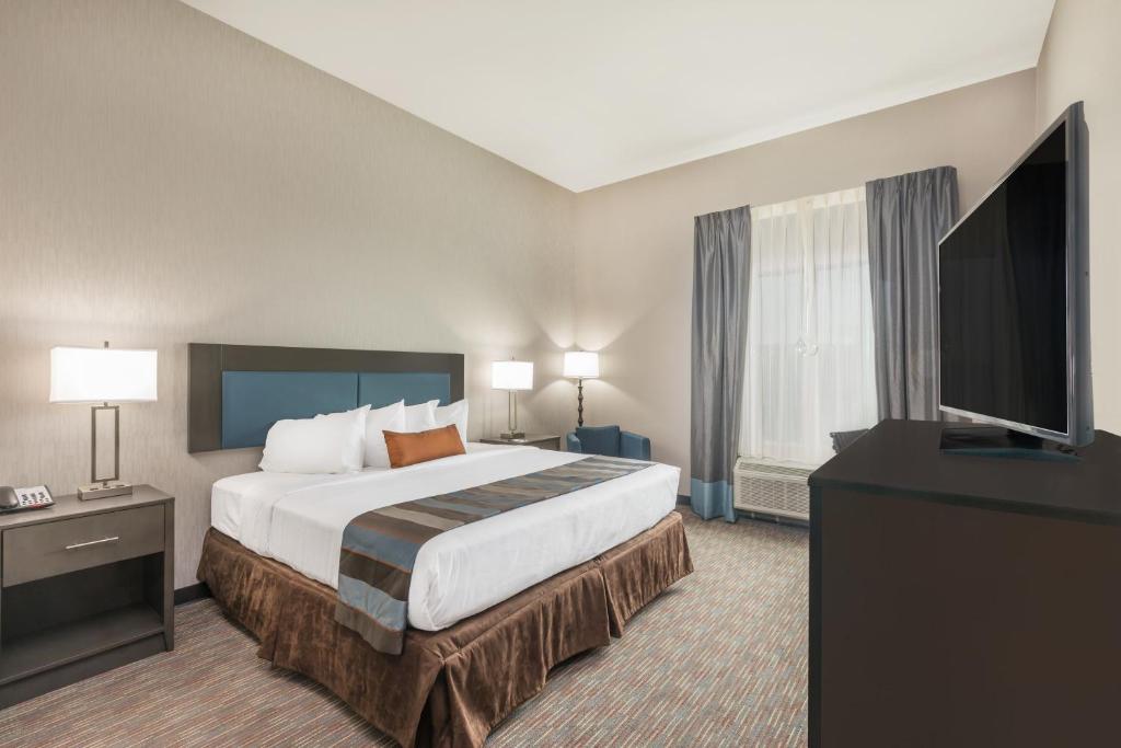 Wingate by Wyndham Lubbock - Habitación Con Cama Extragrande - No Fumadores