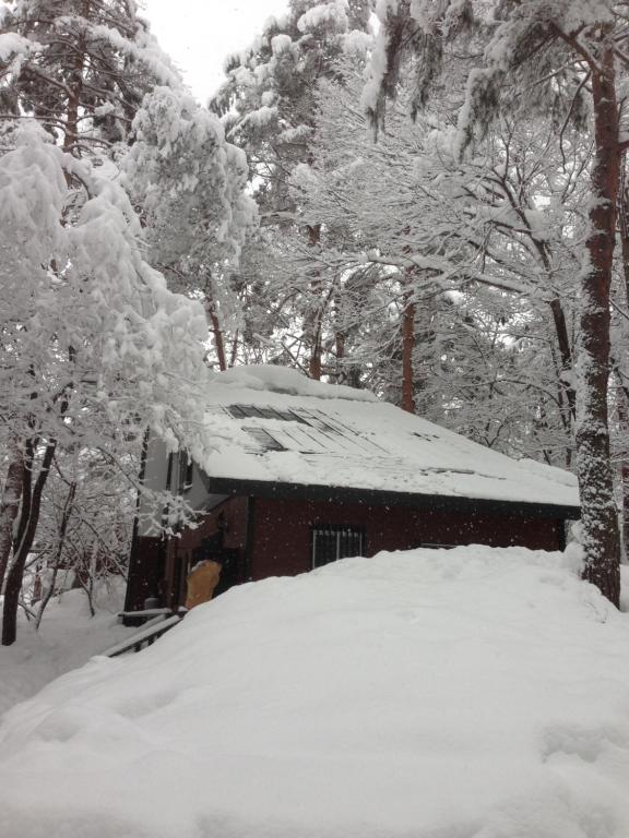 Shiro Cottage v zimě