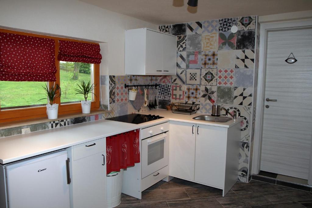 Kuchyň nebo kuchyňský kout v ubytování Apartma Obrh
