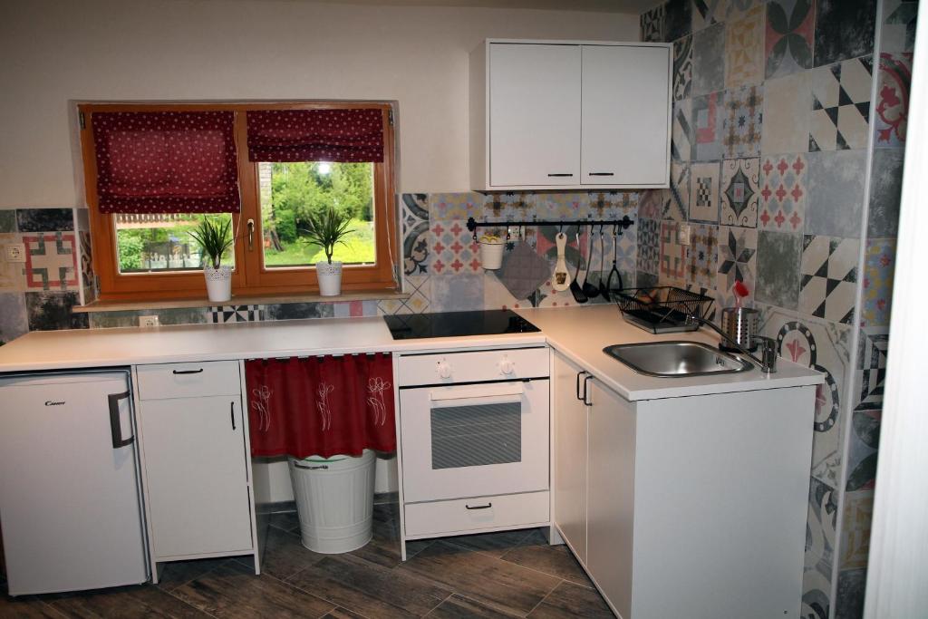 Kuchyň nebo kuchyňský kout v ubytování Apartma Obrh