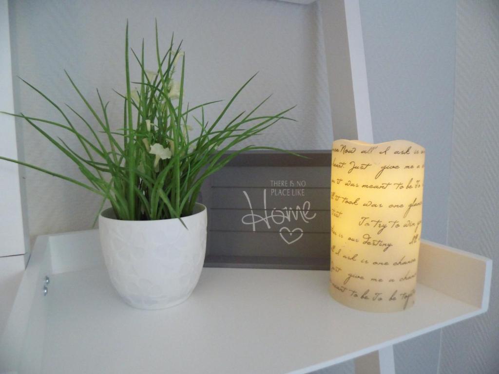 a shelf with a potted plant and a book at Strandläufer in Schönhagen