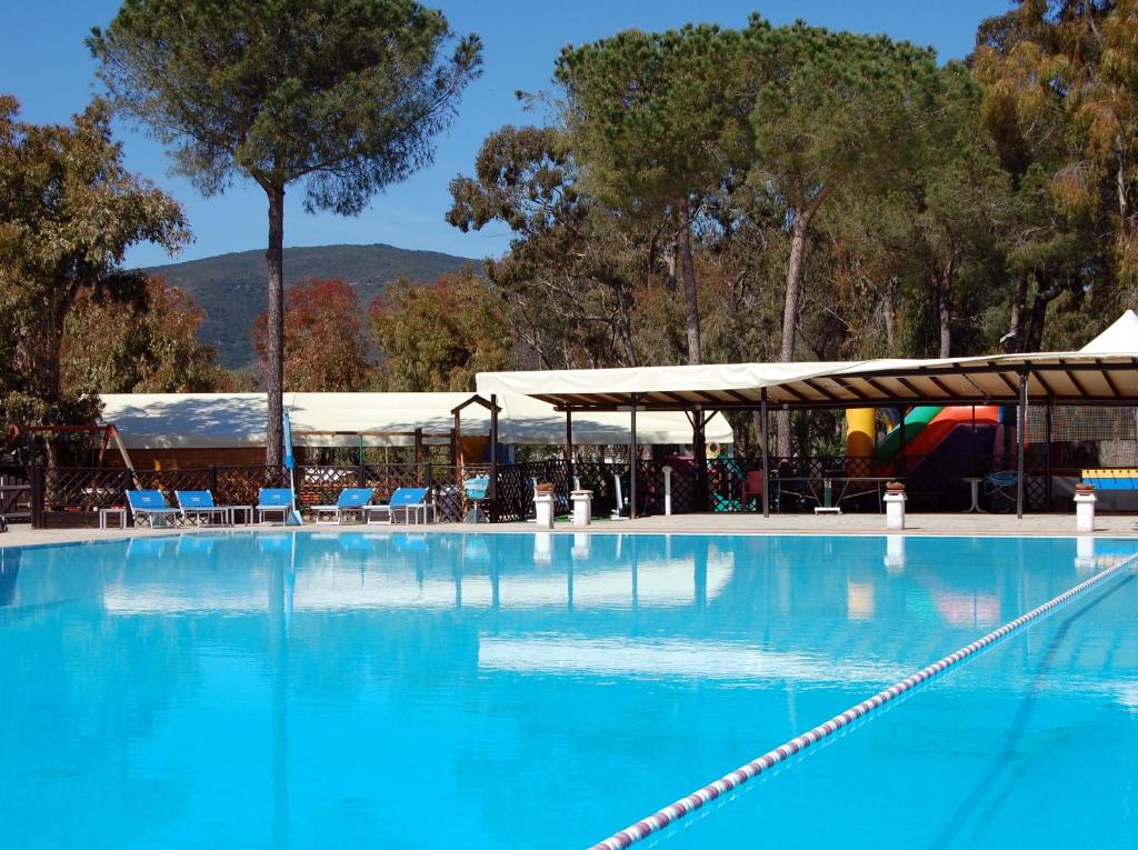 een groot blauw zwembad met stoelen en bomen bij Camping Lacona in Capoliveri