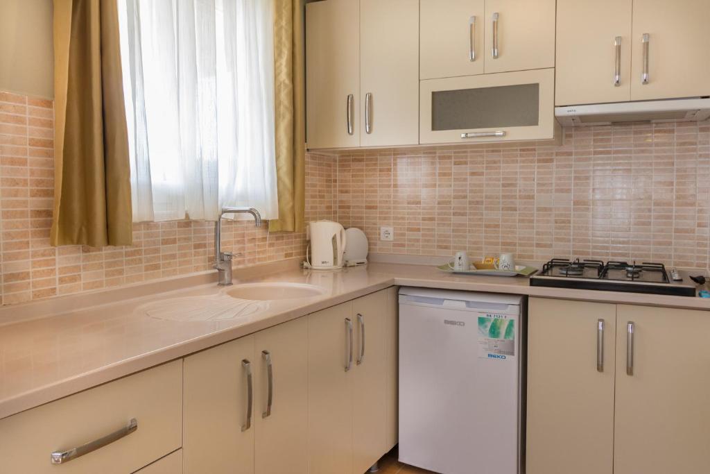 Kuchyň nebo kuchyňský kout v ubytování Hotel Dost