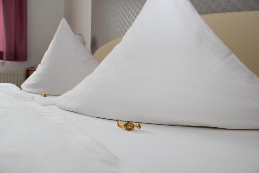 Pension Der kleine Nachbar - 1