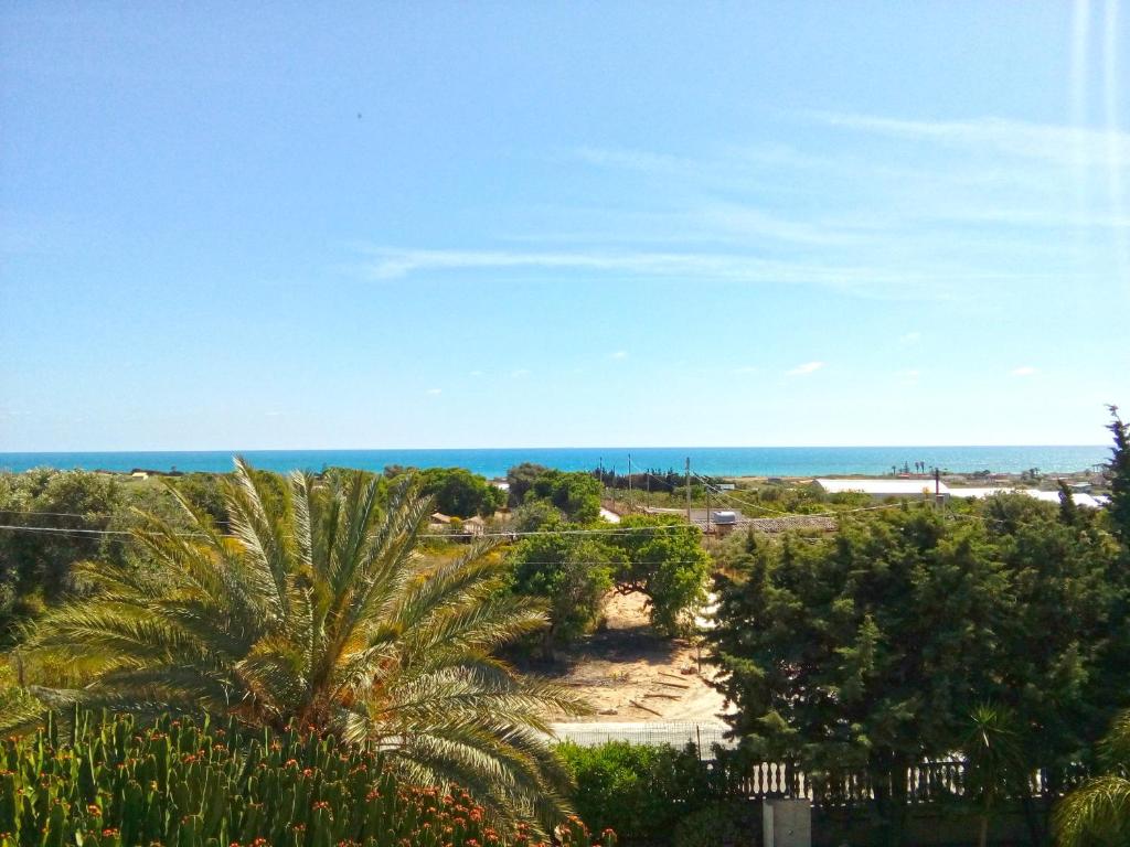 サンタ・マリア・デル・フォカッロにあるProfumo Di Siciliaのヤシの木と海の景色を望む