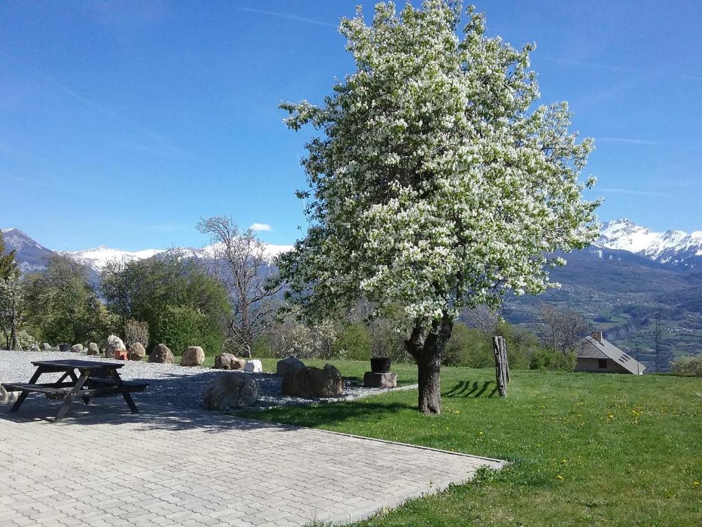 een picknicktafel naast een boom met witte bloemen bij Gîte Les Sauvasses in Puy-Sanières