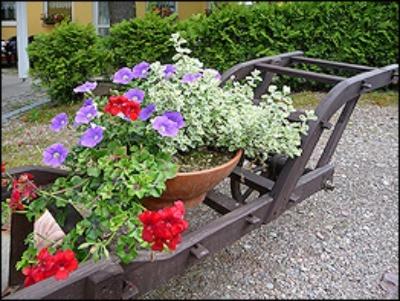 Zahrada ubytování Gasthaus & Pension Zum Hirsch