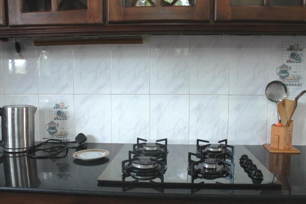 Kuchyň nebo kuchyňský kout v ubytování Sujeewani Villa