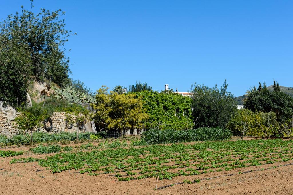 Valley Club Ibiza - Boutique Agroturismo, Sant Joan de ...