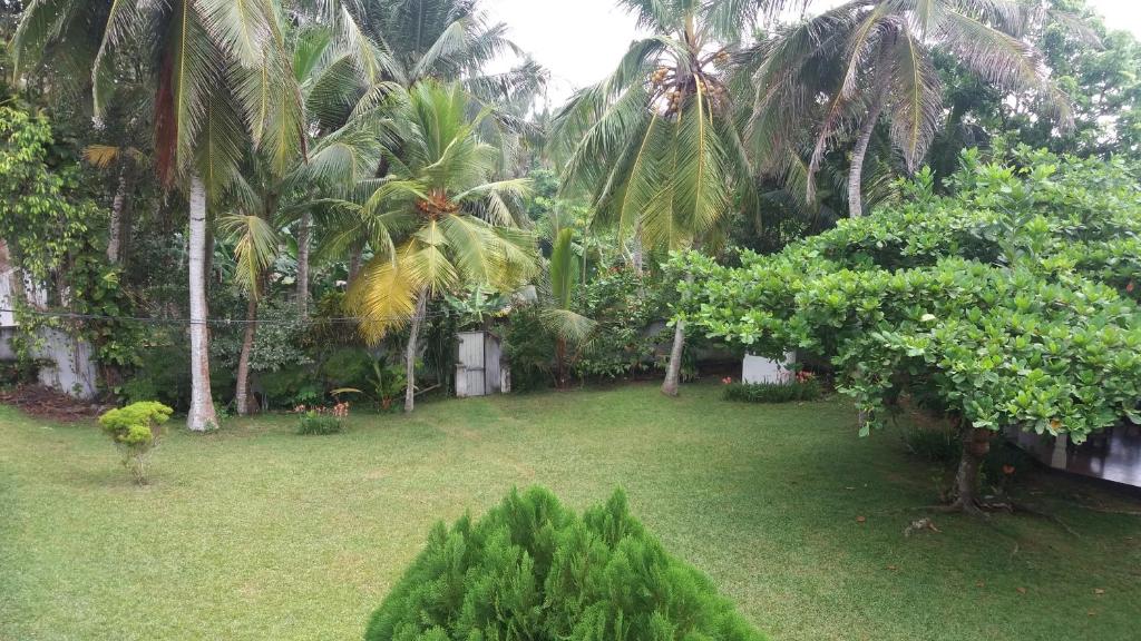 4 Seasons Guesthouse - 9