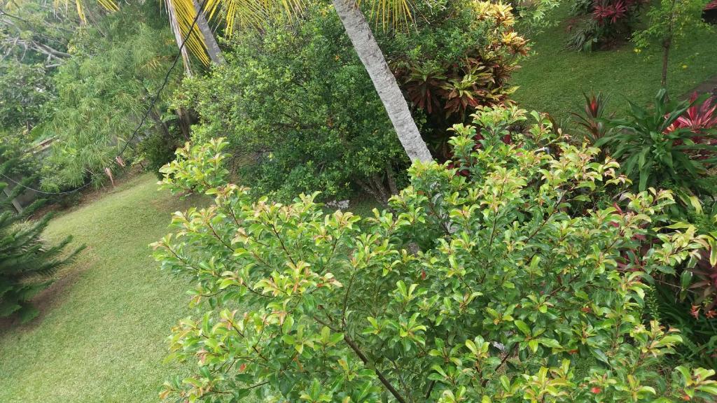 4 Seasons Guesthouse - 18