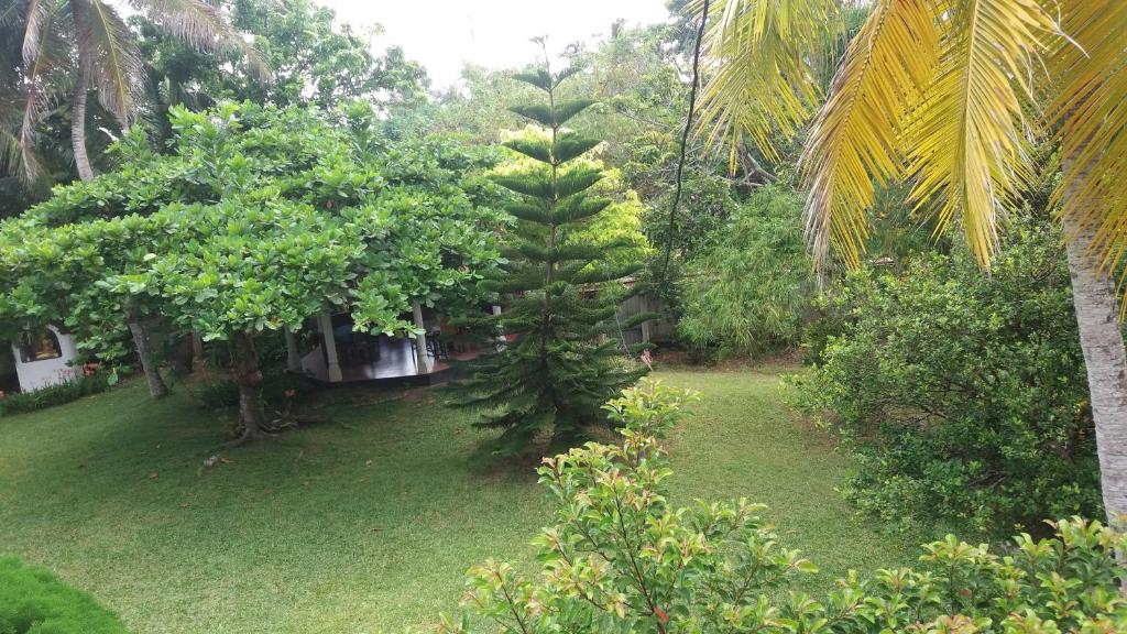 4 Seasons Guesthouse - 12