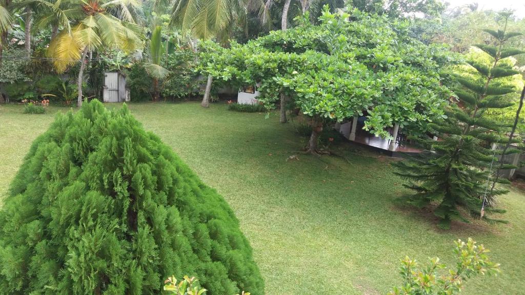 4 Seasons Guesthouse - 19