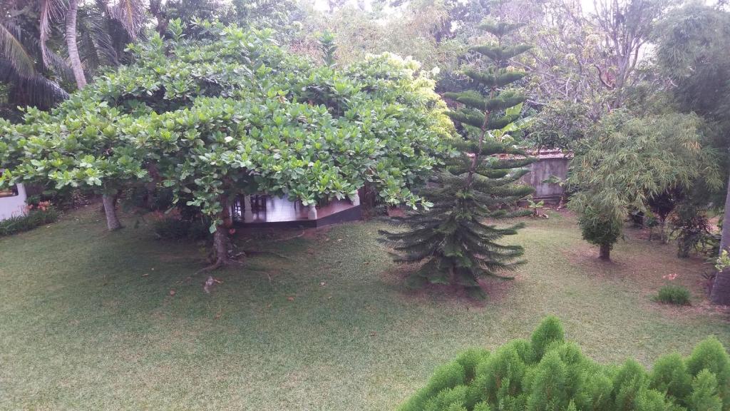 4 Seasons Guesthouse - 15