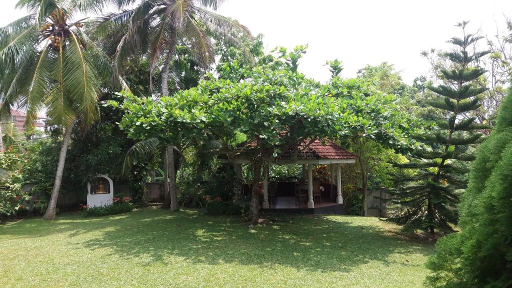 4 Seasons Guesthouse - 16