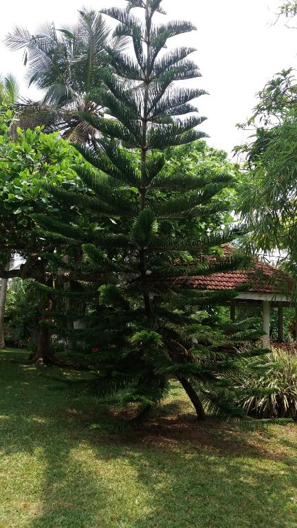 4 Seasons Guesthouse - 2