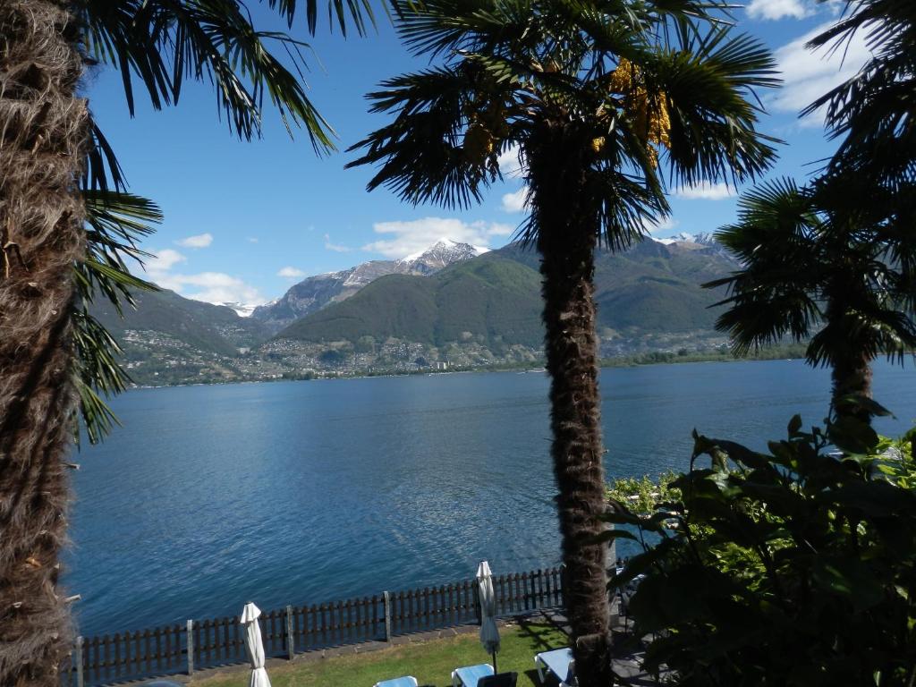 a view of a lake from between two palm trees at Luxeriöses Apartment 52 ViraLago in Vira