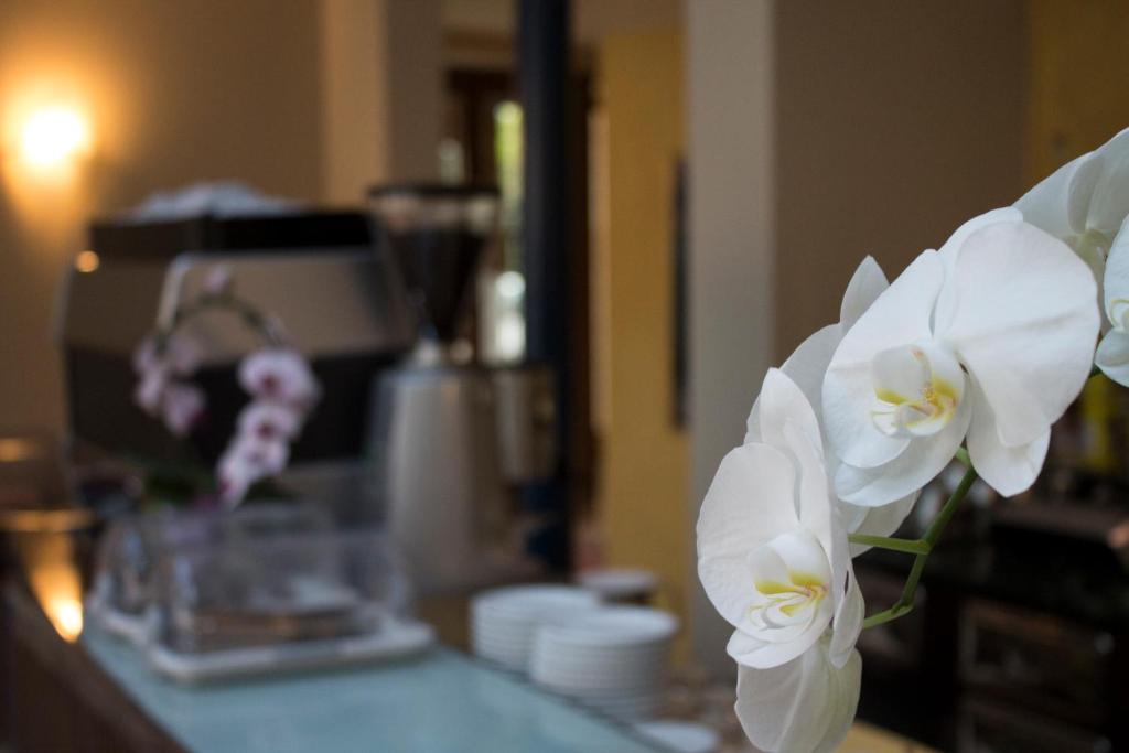 Fotografia z galérie ubytovania Hotel Enrichetta v destinácii Desenzano del Garda