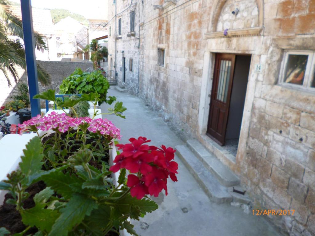 Fotografie z fotogalerie ubytování Apartments Haracic v destinaci Hvar