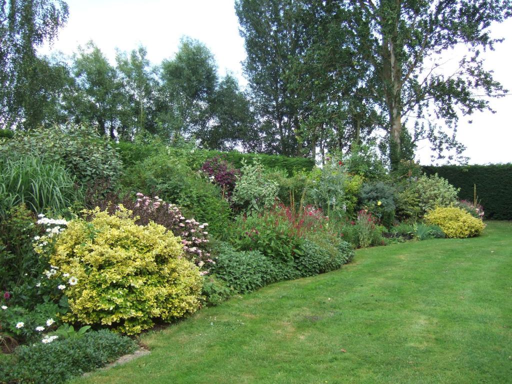 um jardim com muitas plantas e flores diferentes em Lime Trees Farm em Bicester