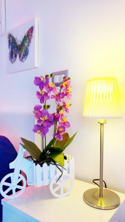 Fotografie z fotogalerie ubytování MaLu' B&B v Sorrentu