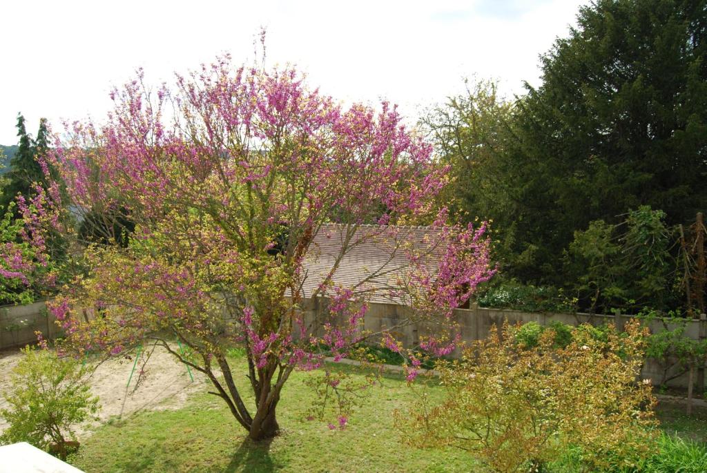 un albero con fiori rosa in un cortile di Ramier a Giverny