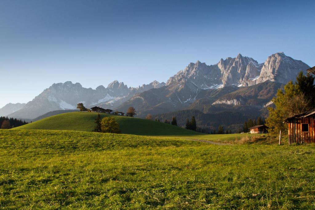 un campo verde con montañas al fondo en Bauernhof Buchberg en Oberndorf in Tirol