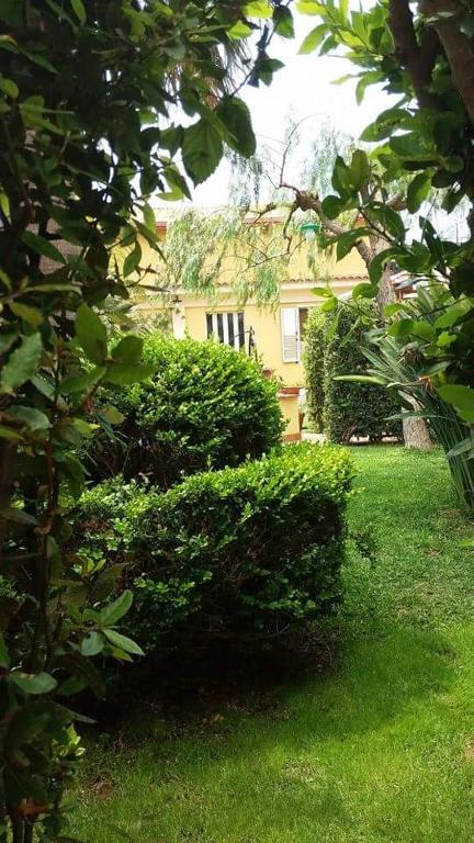Zahrada ubytování Ansise Guest House