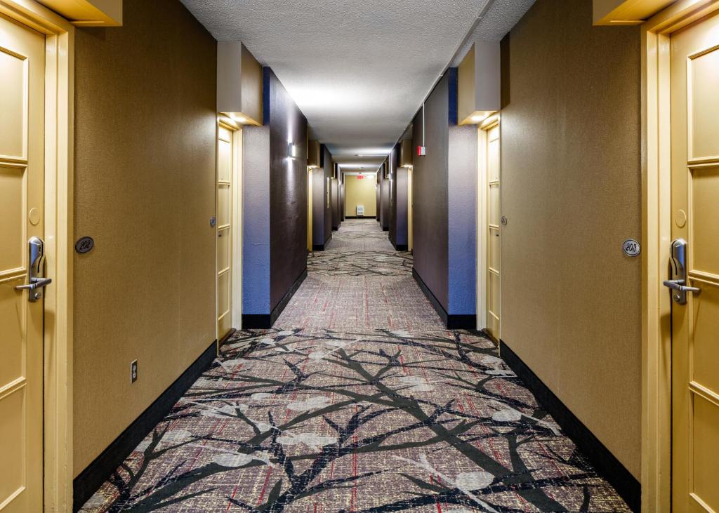 Auberge Royal Versailles - Resim 7