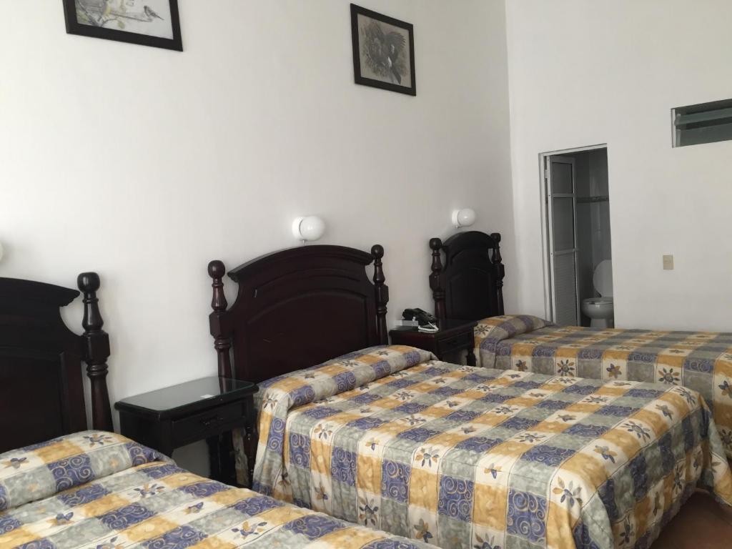 Postel nebo postele na pokoji v ubytování Hotel de los baños