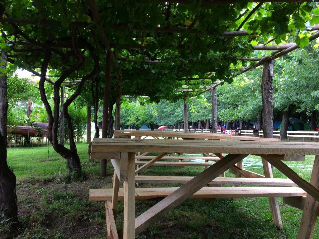 Zahrada ubytování Camping & Hospedaje Rio Laja