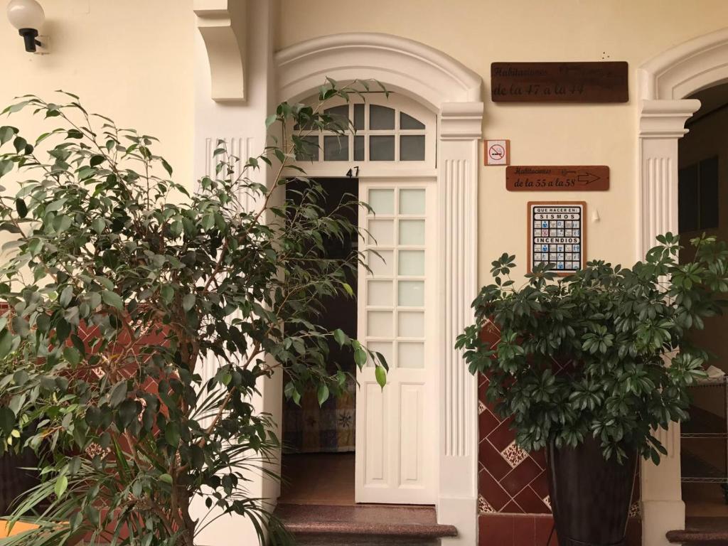 Zahrada ubytování Hotel de los baños
