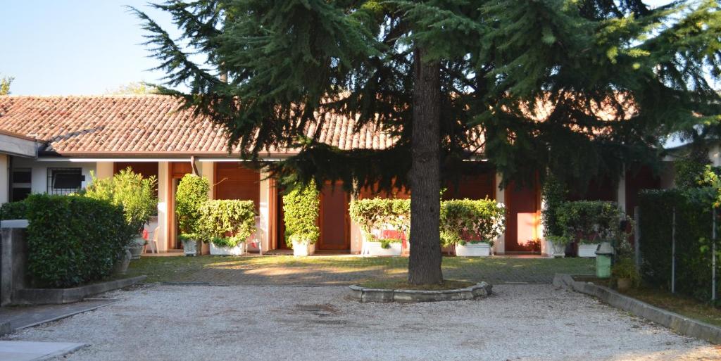 Zahrada ubytování Hotel Magnolia