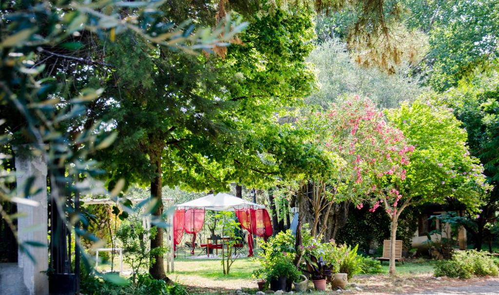 a garden with a red and white tent and trees at B&B Apricot in Policoro