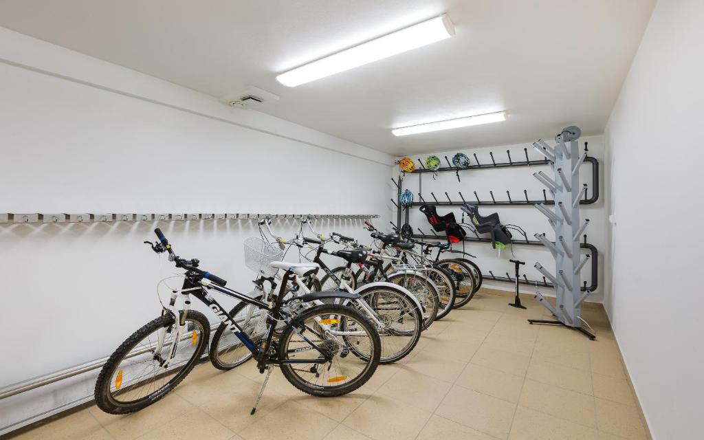 Jazda na bicykli v okolí ubytovania Bukowy Park Hotel Medical SPA
