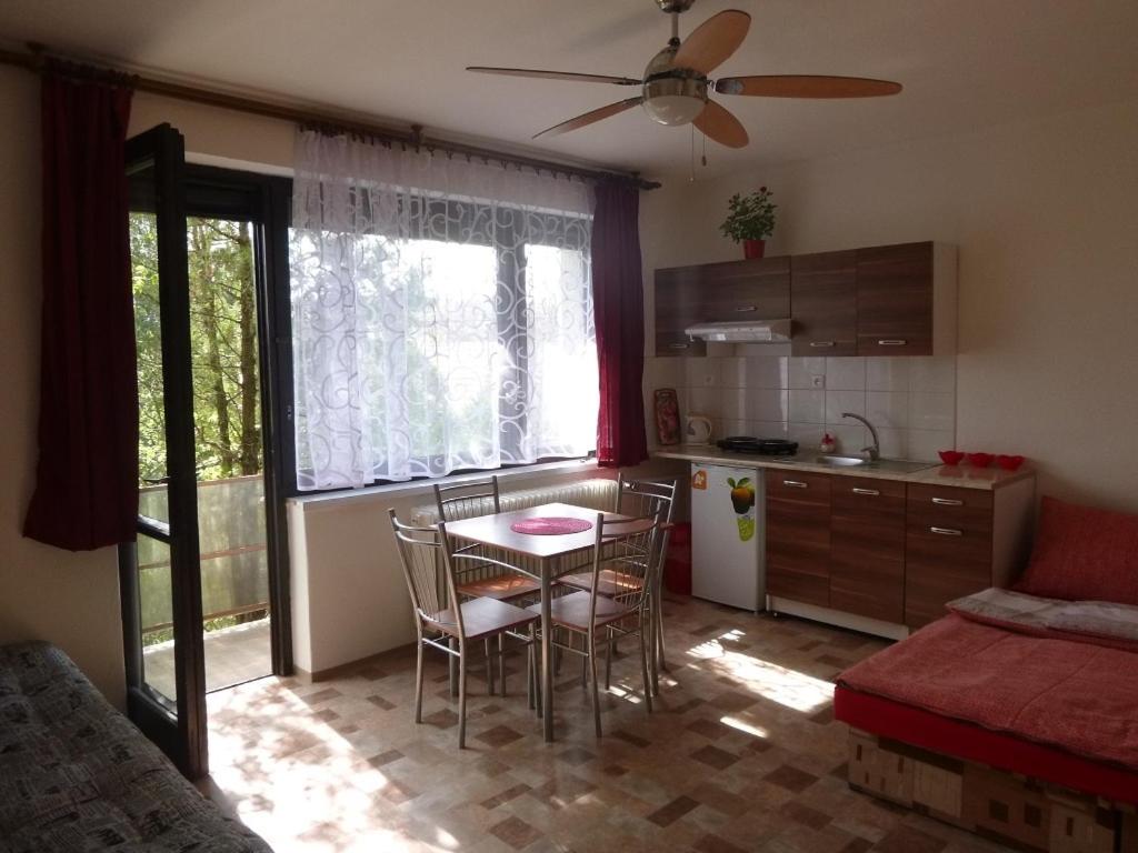 Kuchyň nebo kuchyňský kout v ubytování Apartmanovy dom Grand