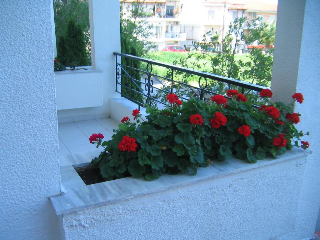a flower box with red flowers on a balcony at Rappos Studios in Kallithea Halkidikis